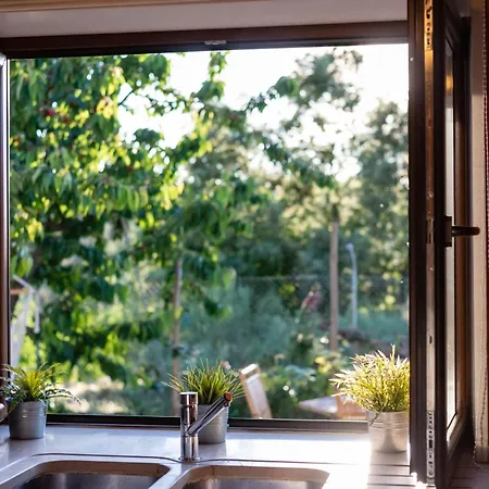 Feel Discovery Maca Douro *