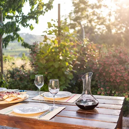 Feel Discovery Maca Douro Willa