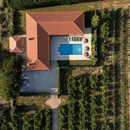 Feel Discovery Maca Douro *