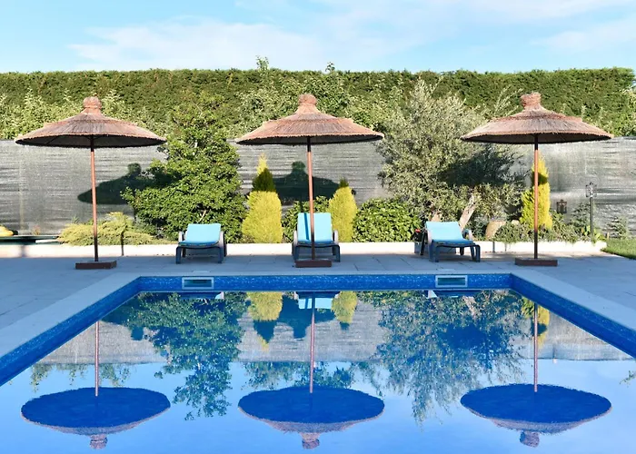 Feel Discovery Maca Douro Armamar