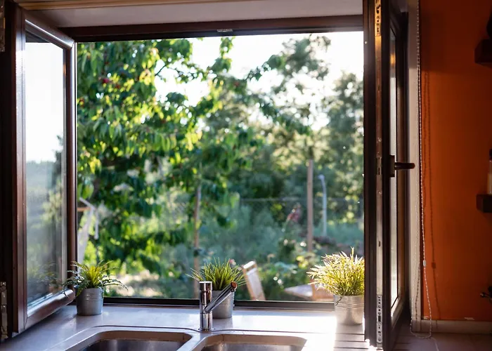 Feel Discovery Maca Douro *